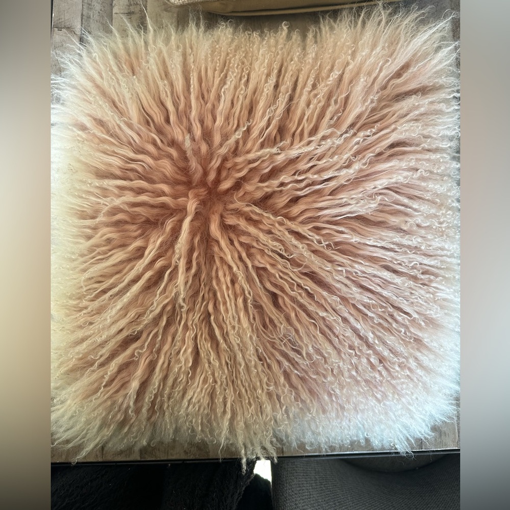 West Elm Pillow